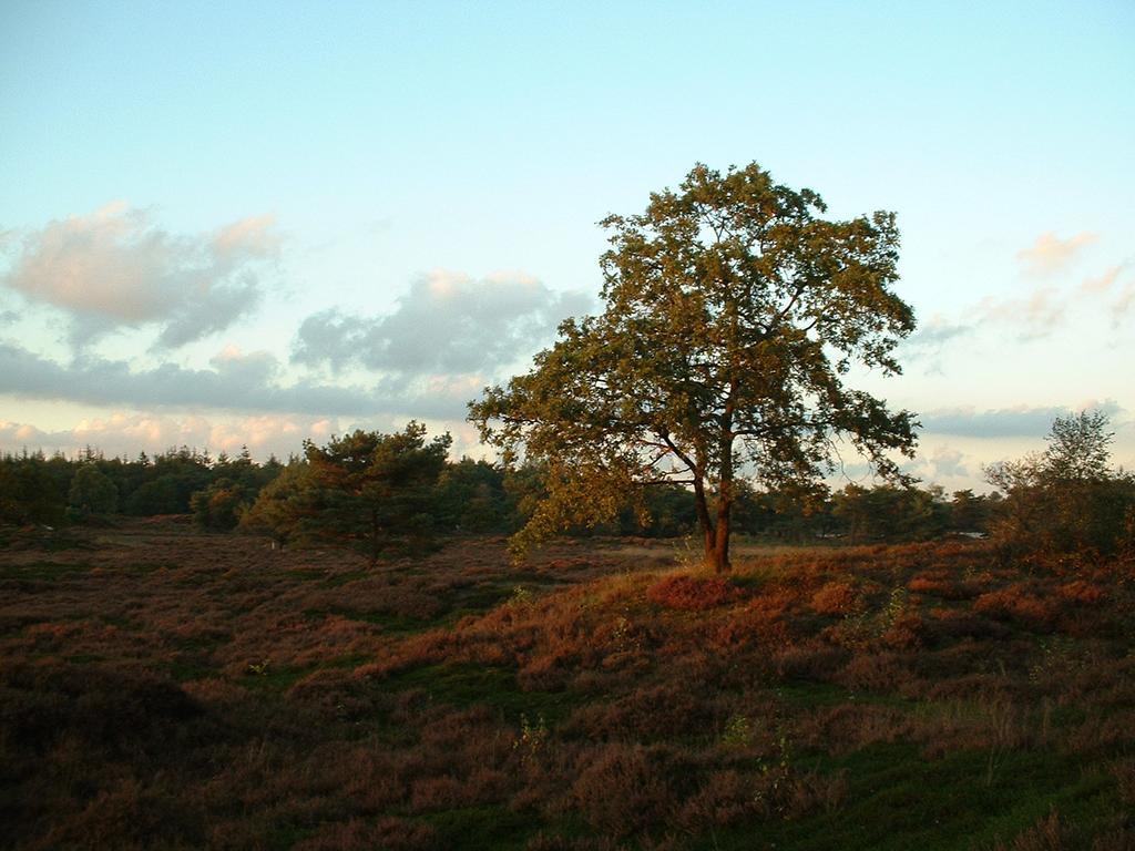 De Riekhoff Villa Een-West Exteriör bild