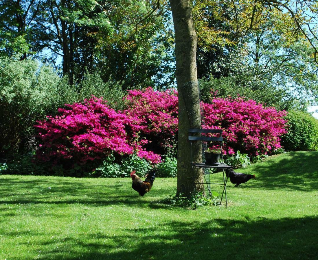 De Riekhoff Villa Een-West Exteriör bild
